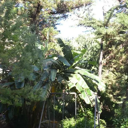 Il Giardino Di Caronda